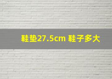 鞋垫27.5cm 鞋子多大